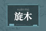 旋木