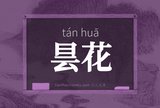 昙花