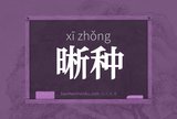 晰种