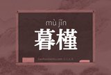 暮槿