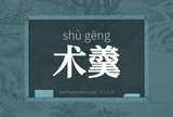 术羹