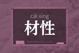 材性