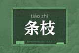 条枝
