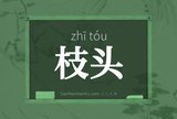 枝头