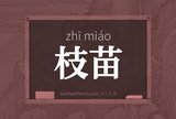 枝苗