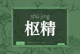 枢精