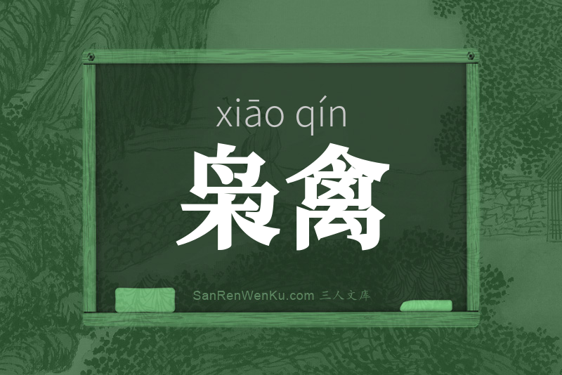 枭禽