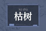 枯树