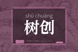 树创