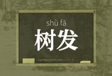 树发