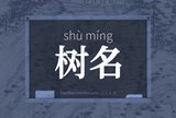 树名