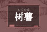 树薯
