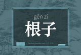 根子