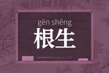 根生