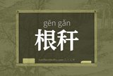 根秆