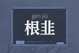 根韭