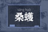 桑蠖