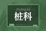 桩科
