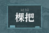 棵把