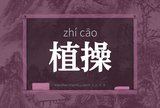 植操
