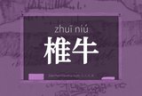 椎牛