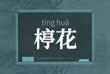 楟花