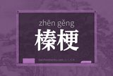 榛梗