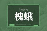 槐蛾