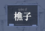 樵子