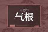 气根