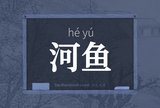 河鱼