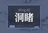 洞睹