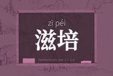 滋培
