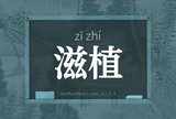 滋植