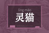 灵猫