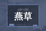 燕草