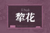 犂花