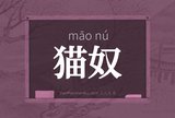 猫奴