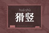 猾竖