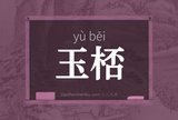 玉桮
