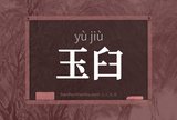 玉臼