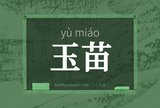 玉苗