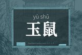 玉鼠