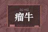 瘤牛