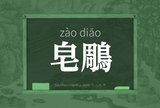 皂鵰