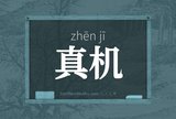 真机