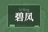 碧凤