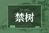 禁树