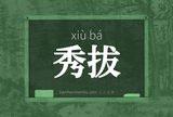 秀拔
