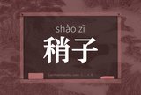 稍子